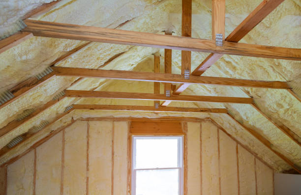 Best Residential Insulation in Lodi, WI