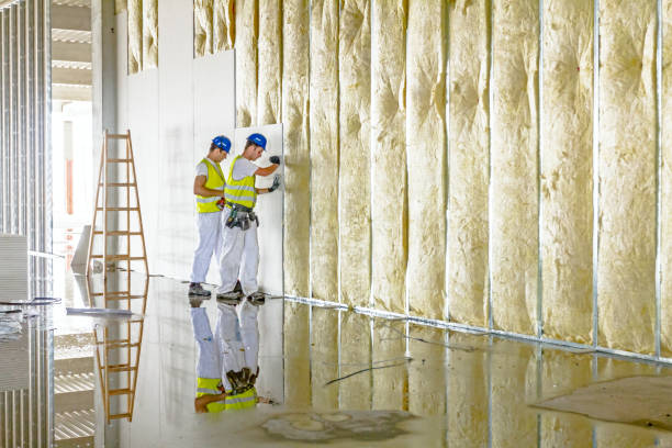 Best Residential Insulation in Lodi, WI